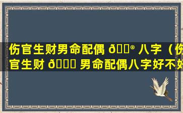 伤官生财男命配偶 💮 八字（伤官生财 🐞 男命配偶八字好不好）